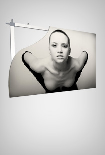 backframe