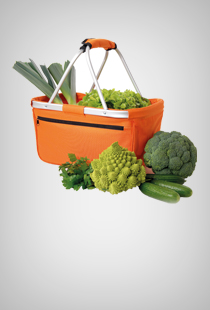 Shopping- & Khltaschen