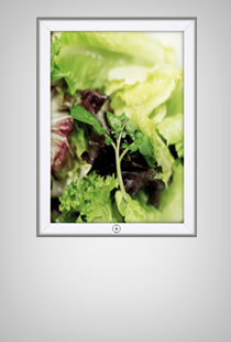 Lockable Snap-Frames