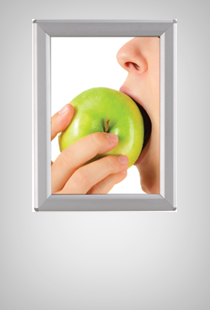 Opti Snap-Frames