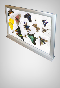 Double Stand Security Snap-Frame