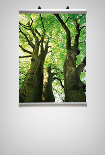 Banner-Line