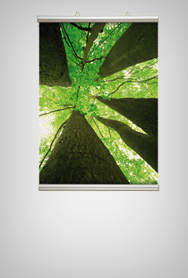Poster-Line